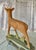 Life-Size Painted Cast Concrete Deer Sculpture. This deer statue is modeled with realistic proportions and hand-painted in...