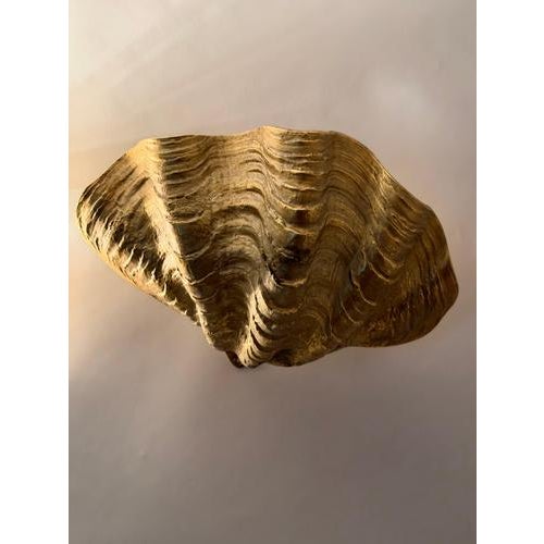 Hollywood Regency French Gilt Metal Clam Shell Wall Sconces, 1970, Set of 2 For Sale - Image 4 of 18