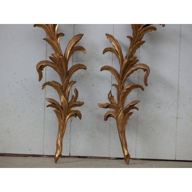 Italian Pair of Italian 1820s Carved Giltwood Wall Fragments Depicting Scrolling Foliage For Sale - Image 3 of 9