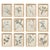 Framed Herbarium Collection of Botanical Specimens From 1897, Set of 12 For Sale