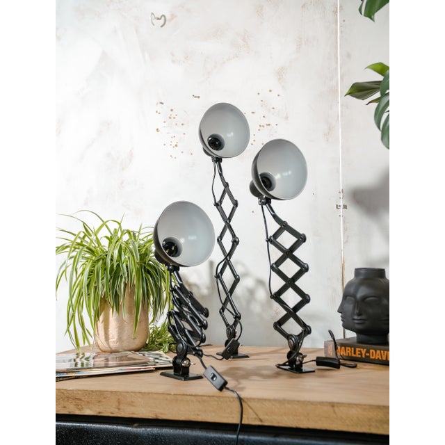 Satin black bauhaus scissor lamp – original kaiser-idell - model 6718 set of 3 pieces brand: kaiser idell model: 6718...