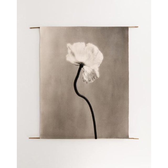 Poppy no.3 - Organic Cotton Canvas Scroll on Bamboo, Limited Edition 2 of 5 2023 For Sale - Image 12 of 12