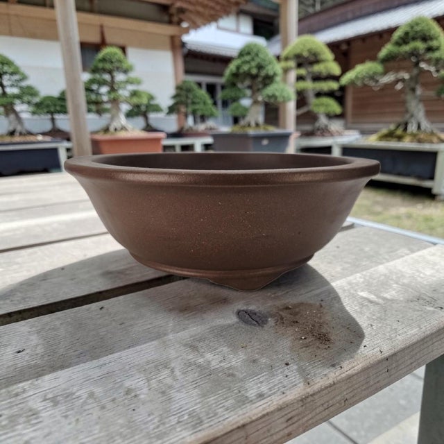 Round bonsai pot executed in Tokoname or Yixing-type clay with a matte brown finish. The basin form features a rolled rim,...
