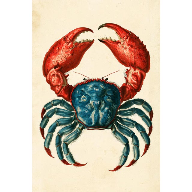 Set of 24 — Natural History Cabinet of Curiosities | 19th-Century Natural History Plates | Vintage Scientific Illustration | Gallery Wall Collection For Sale - Image 4 of 18