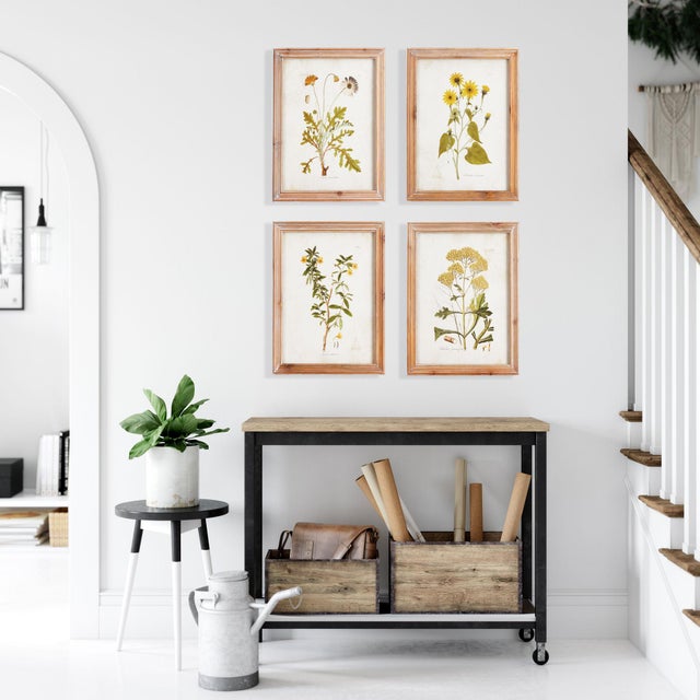 Kenneth Ludwig Chicago Golden Wildflower Study, Set Of 4 For Sale - Image 4 of 4