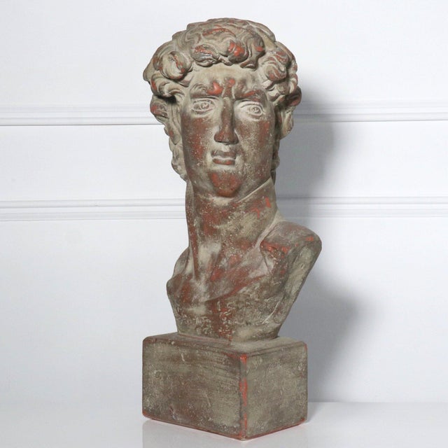 Mid Century Plaster Life-Size Bust of David Sculpture For Sale - Image 12 of 12