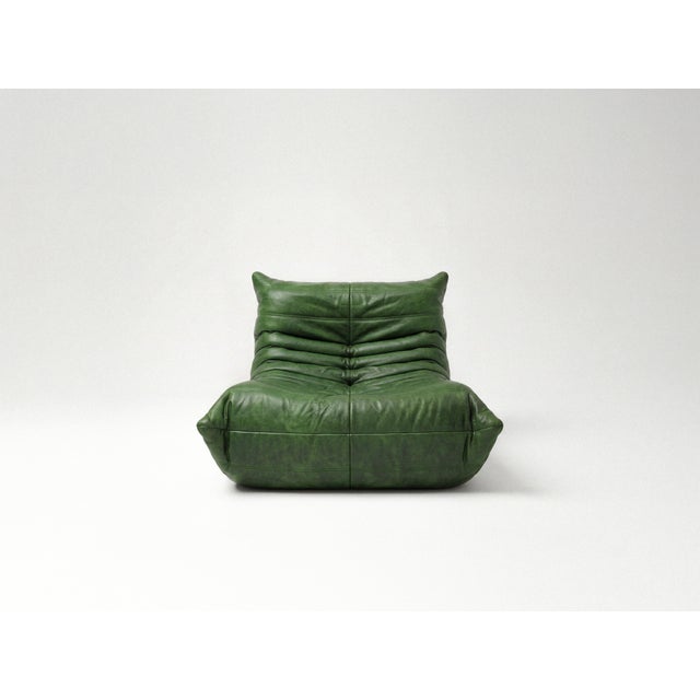Forest Green Togo Sofa Set by Michel Ducaroy for Ligne Roset, Set of 5 For Sale - Image 8 of 14