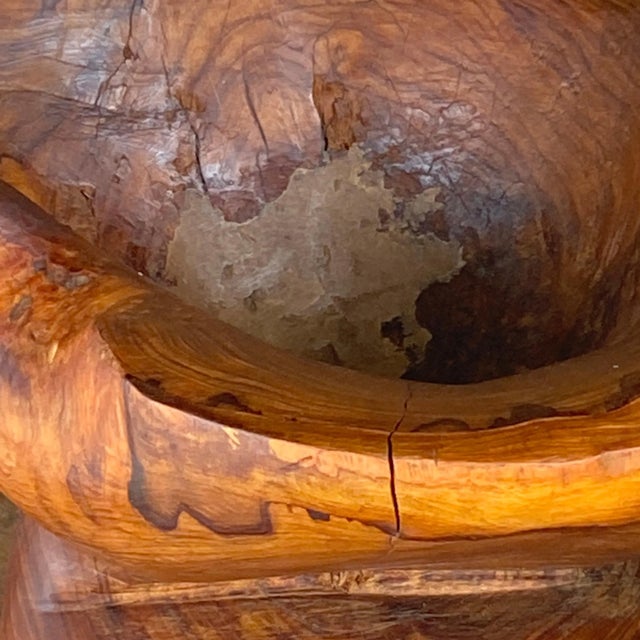 1950s Brutalist Olive Wood Vide Poche by Charlotte Perriand, France, 1950s For Sale - Image 5 of 13