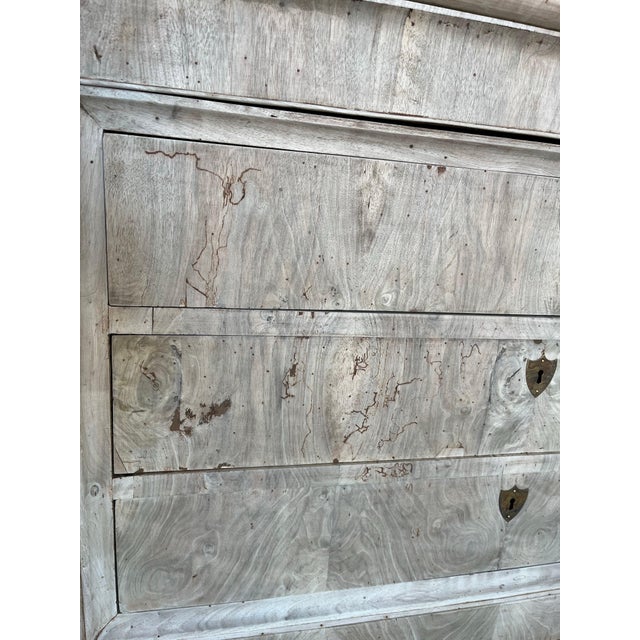 19th Century Italian Carlo X / Louis Philippe Bleached Walnut Chest of Drawers For Sale - Image 11 of 12