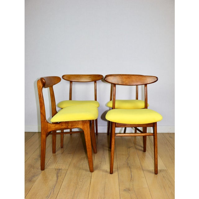 Set of 4 Hałas vintage chairs in a yellow vintage color. Fully restored, four original chairs designed by Rajmund Hałas...