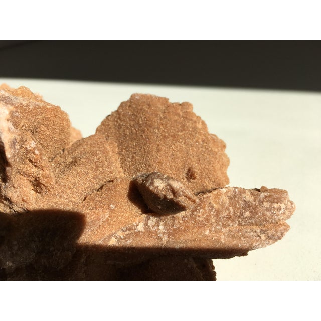 Desert Rose Selenite Crystal Formation For Sale - Image 5 of 7