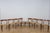 This set of eight dining chairs was designed by Arne Hovmand Olsen and produced by Mogens Kold in Denmark during in the...