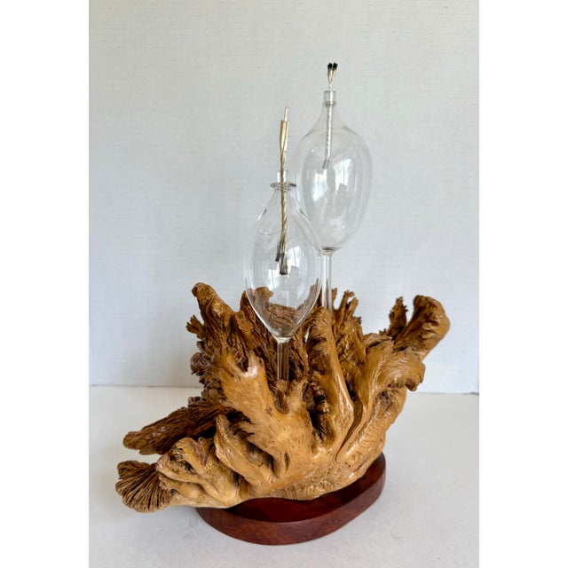 1970s 1970s Organic Modern Burl Wood Sculptural Double Oil Lamp Centerpiece For Sale - Image 5 of 11