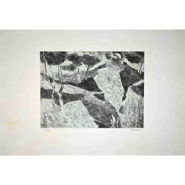 Landscape is an original Etching realized by Enrico Paulucci in mid-20th Century. Good condition. Sigled and numbered by...