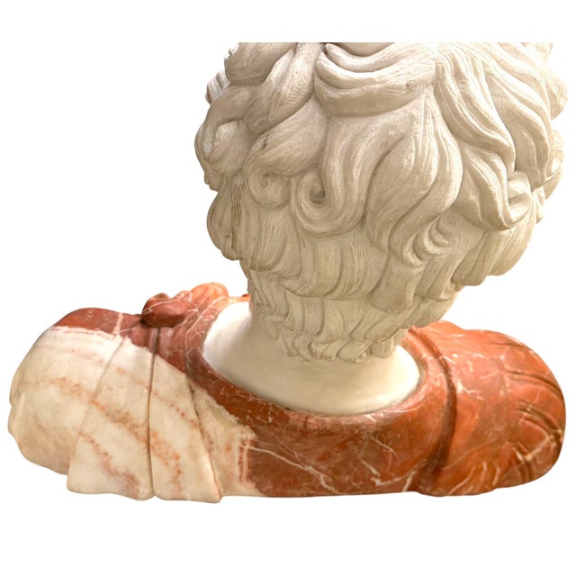 Stone Italian Multicolor Marble Bust of Ancient Philosopher Aristotle. 20th Century. For Sale - Image 7 of 8