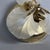 Gold Vintage Ceiling Lamp in Polished Brass Leaves and Satin Glass, 1970s For Sale - Image 8 of 12