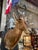 This large, majestic African red hartebeest taxidermy shoulder mount is a true trophy for any hunting enthusiast. The...