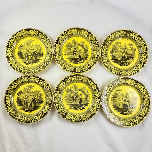 Canary Yellow Creil Et Montereau Canary Yellow Transferware Domestic Scenery Floral Plates, Set/6 For Sale - Image 8 of 15