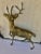 Metal Large Brass Deer/Stag For Sale - Image 7 of 7