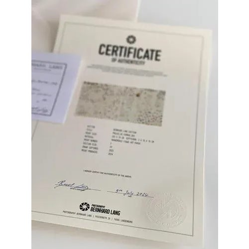 Not Yet Made - Made To Order Bernhard Lang, Praias_De_Formas_003 Diptych, Limited Edition Fine Art Print For Sale - Image 5 of 6