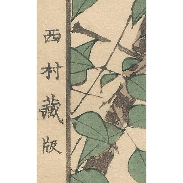 Imao Keinen, Brown-Eared Bulbul, 1892, Print For Sale - Image 9 of 13