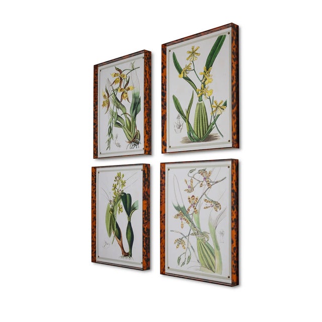 2020s Spring Orchid III Giclee in Tortoise Frame For Sale - Image 5 of 10