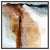 Abstract L'oceanique Splendeur, Katia Poulin For Sale - Image 3 of 7