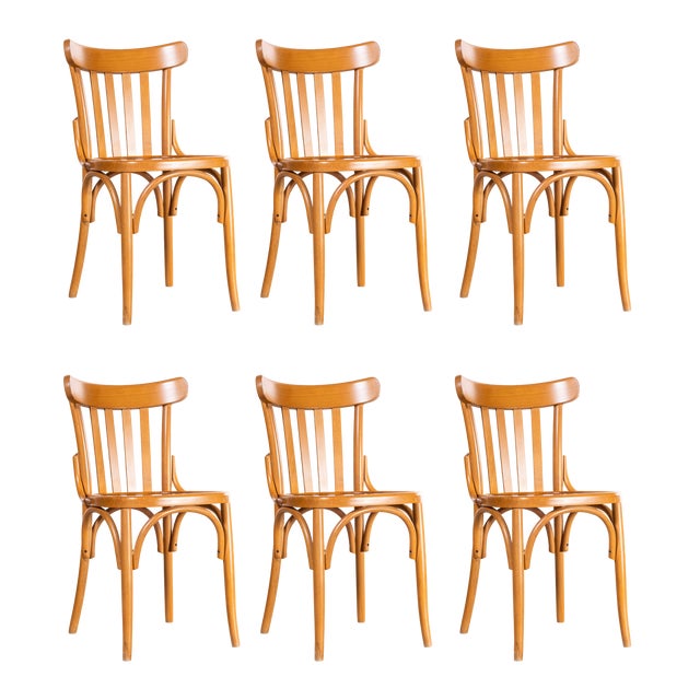 Bentwood Honey Beech Striped Seat Bentwood Dining Chairs, 1970s, Set of 6 For Sale