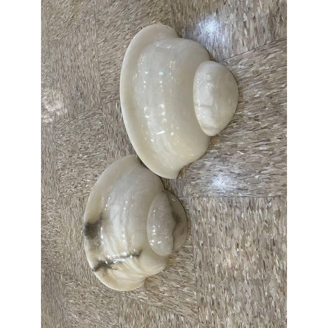 1960s 1950 Alabaster Shell Shape Sconces - a Pair For Sale - Image 5 of 8