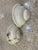 1960s 1950 Alabaster Shell Shape Sconces - a Pair For Sale - Image 5 of 8