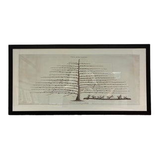 Natural Curiosities “White Beurré Pear-Tree” William Forsyth 1802 Botanical Print For Sale