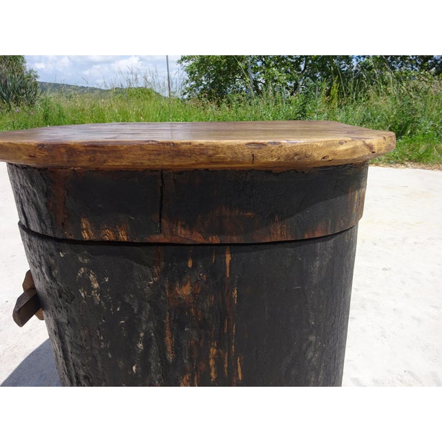Wood Small Cabinet in Canoe Wood and Teak, 2000s For Sale - Image 7 of 18