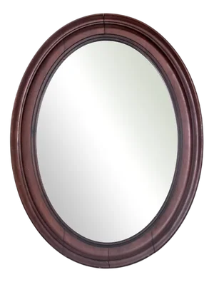 Late 19th Century Oval Mirror in a Mahogany Frame, Northern Europe
