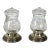 Etched Glass Salt and Pepper With Sterling Bases For Sale