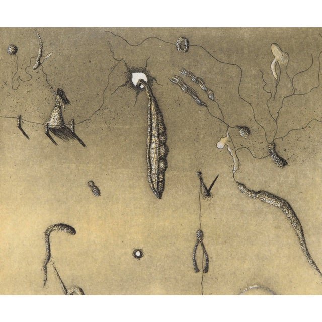 1970s "Faded Jeans + Stuff" - Surrealist Colored Etching #10/20, 1976 by Jim Crabb For Sale - Image 5 of 6