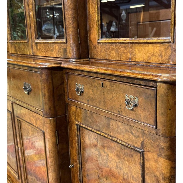 Wood Victorian Bookcase in Burr Walnut, 1800s For Sale - Image 7 of 18
