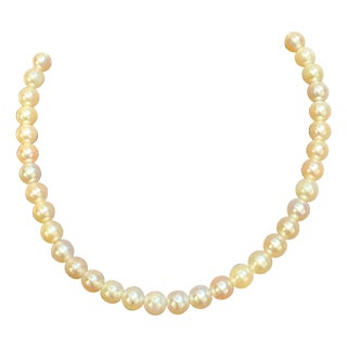 Vintage Cultured Akoya Pearl Necklace Length 14" , 18 Karat Yellow Gold Clasp For Sale