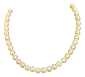 Vintage Cultured Akoya Pearl Necklace Length 14" , 18 Karat Yellow Gold Clasp