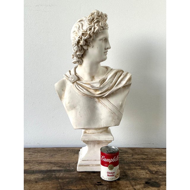 Ceramic Apollo Belvedere Bust Sculpture For Sale - Image 10 of 18