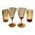 1920s Cambridge Glass Amber Etch No. 704 Water Goblets & Flat Soda Tumblers – Set of 4 For Sale