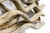 Large Vine Square Grouping - Wall Art Set of 4 For Sale - Image 9 of 9