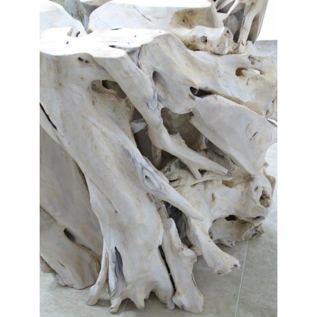 White Contemporary Organic Modern Teak Root Sculpture For Sale - Image 8 of 10