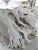 White Contemporary Organic Modern Teak Root Sculpture For Sale - Image 8 of 10