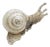Vintage Italian Handmade Silver Life Size Snail Figurine, 1960s For Sale