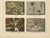 Dr. Gustav Adolph Kenngott, Mineralogy Marble, Aragonite & Fluorite, 1888, Chromolithographs, Set of 3 For Sale - Image 10 of 12