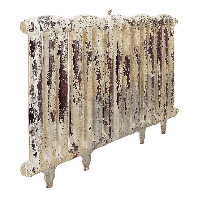Victorian Cast Iron Radiator with Leafy Branches and Flowers, 1890s For Sale