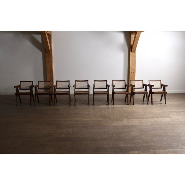 Brown Office Cane Chairs from Pierre Jeanneret, India, 1950s, Set of 8 For Sale - Image 8 of 18