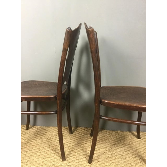 Antique Bentwood Dining Chairs from Jacob & Josef Kohn, Set of 4 For Sale - Image 10 of 18