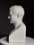 White Bust of Napoleon, 20th Century, Plaster For Sale - Image 8 of 18