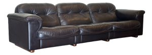 Leather Model DS 101 Sofa from de Sede, 1970s